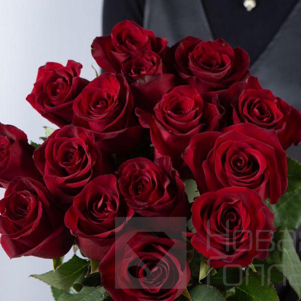 15 красных роз Премиум Эквадор 50 см