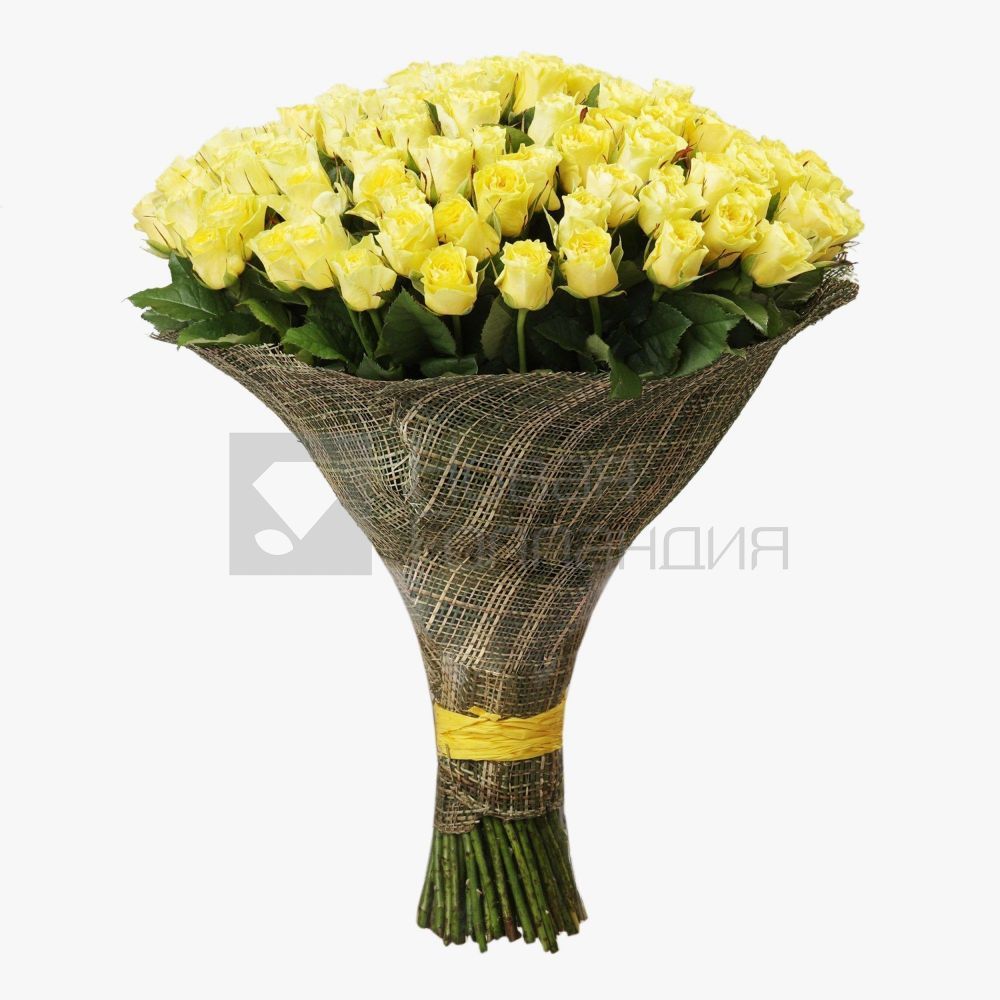Букет 101 желтая роза 70 см