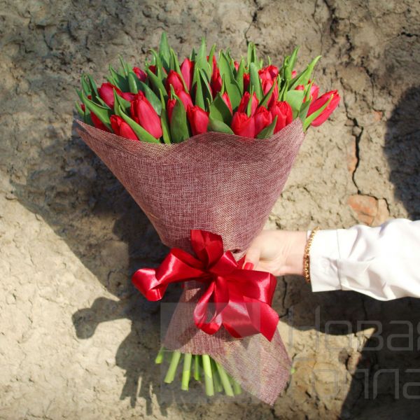 Букет 51 Красный тюльпан
