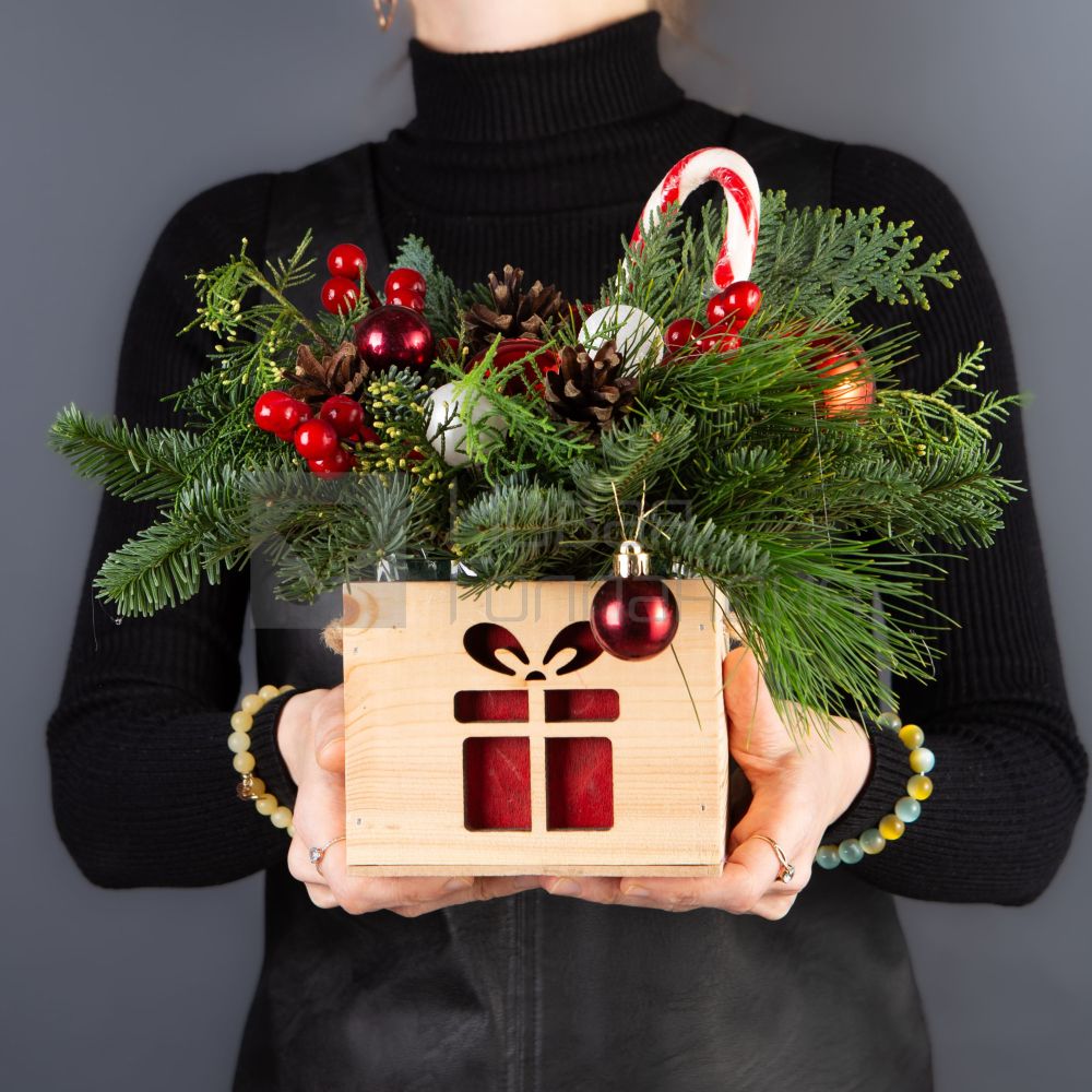 Композиция в кашпо елочка № 3