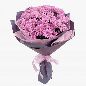 Букет 11 розовых кустовых хризантем Букет 11 розовых кустовых хризантем