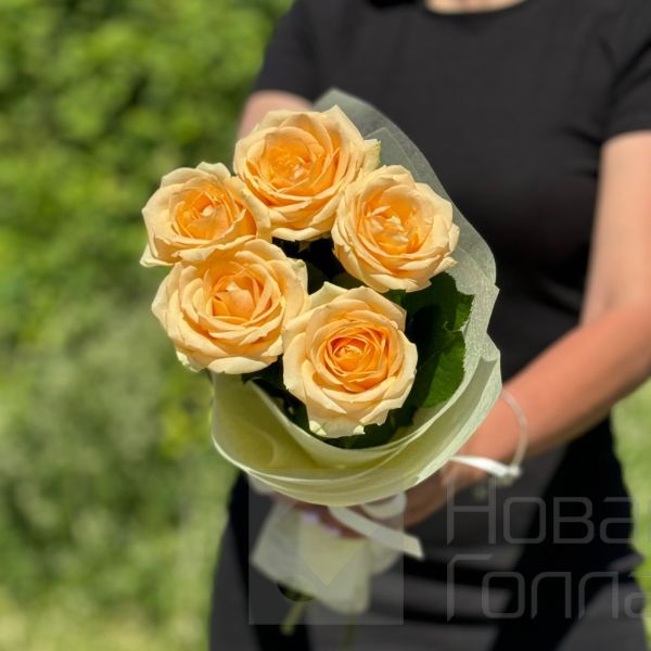 Букет из 5 кремовых роз (17)