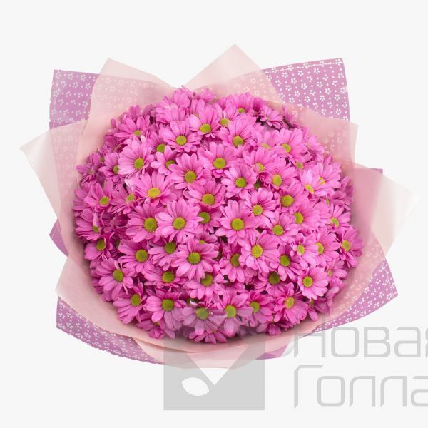 Букет 21 розовая кустовая хризантема