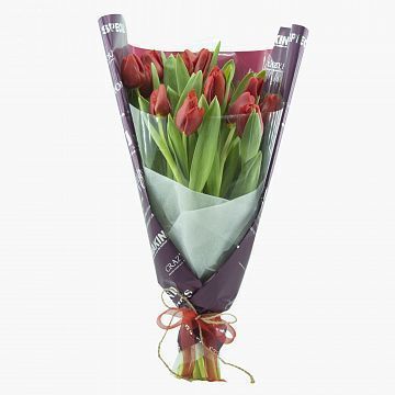 Букет 15 красных тюльпанов-3