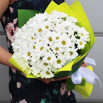 Букет из белых ромашковых хризантем АКЦИЯ Букет из белых ромашковых хризантем АКЦИЯ