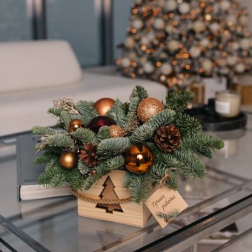 Композиция Елочка в кашпо Композиция Елочка в кашпо