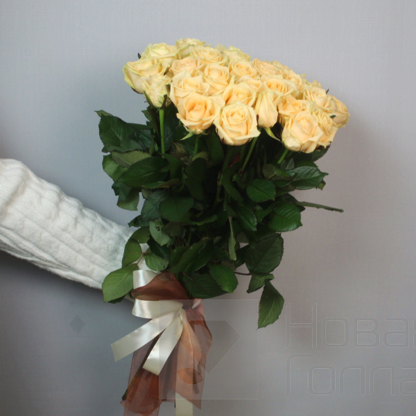 25 кремовых роз 70 см