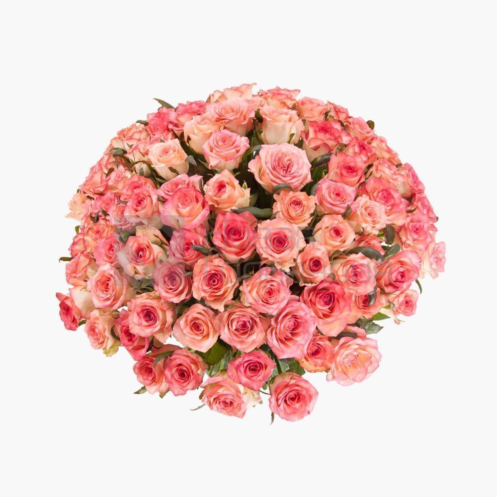 Букет из 101 розовая роза Джумелия 50 см Россия