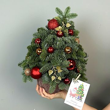 Ель из ветвей нобилиса В ожидании чуда Ель из ветвей нобилиса В ожидании чуда