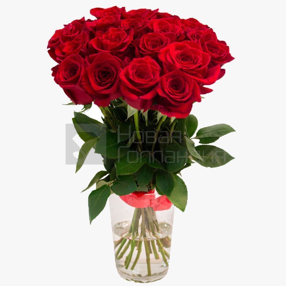 Букет 21 красная роза Премиум Эквадор 60 см.