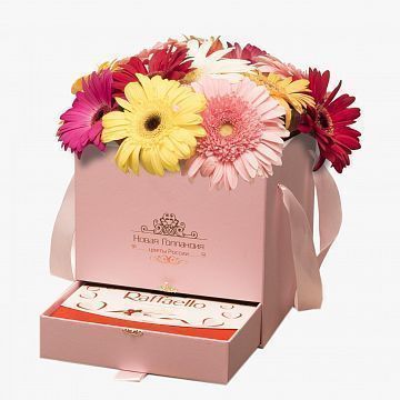 15 гербер в розовой коробке шкатулке с рафаэлло №494