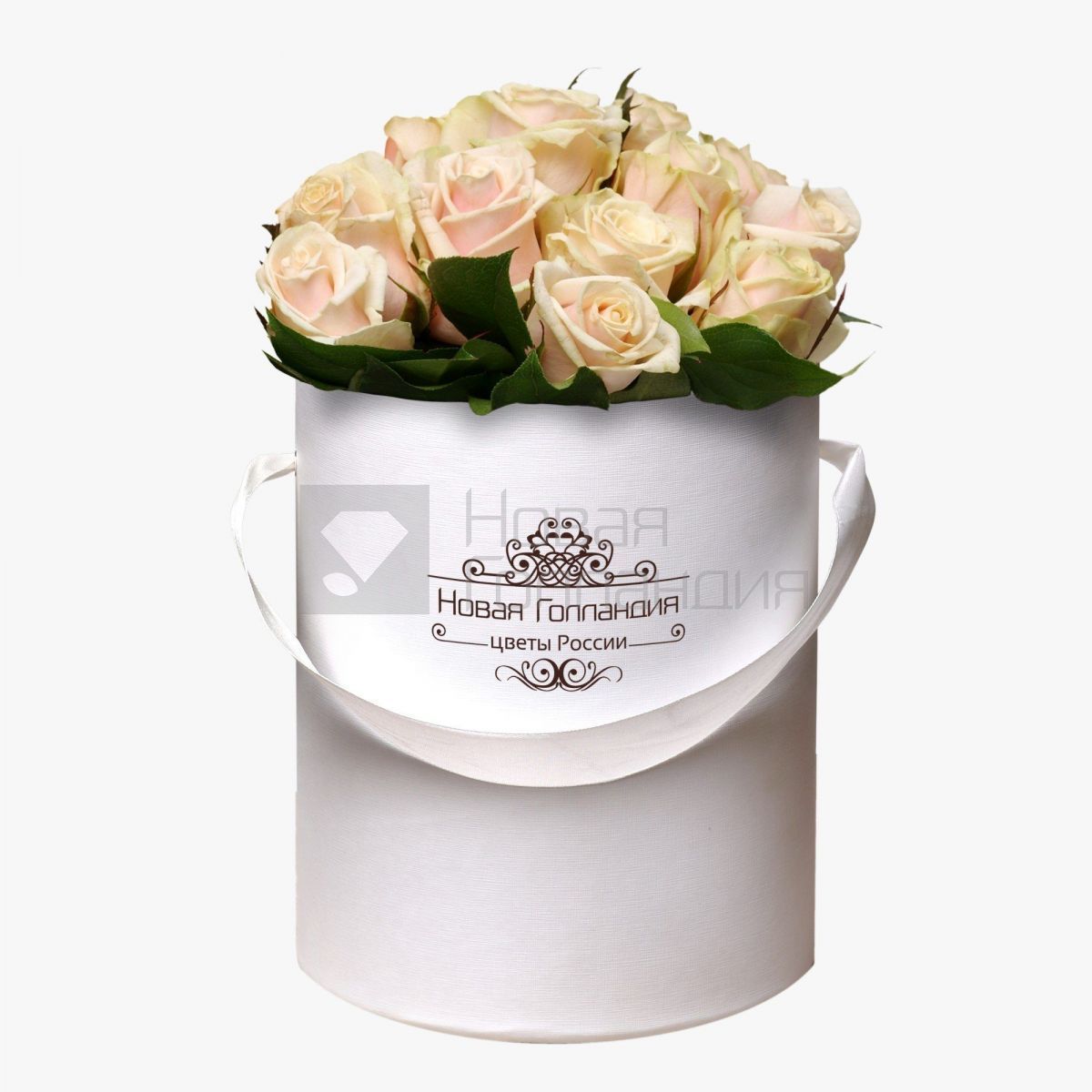 15 кремовых роз в маленькой белой шляпной коробке №337
