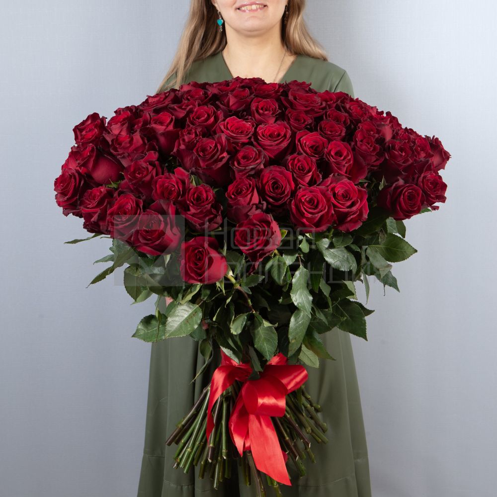 101 красная роза Премиум Эквадор 50 см