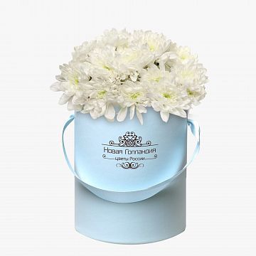 5 Белых хризантем в маленькой голубой коробке №328 5 Белых хризантем в маленькой голубой коробке №328