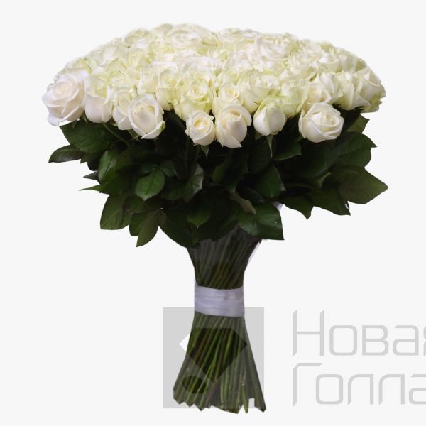 Букет 101 белая роза 50 см Россия