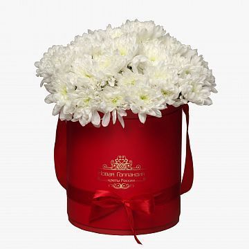 7 Белых хризантем в красной шляпной коробке №99