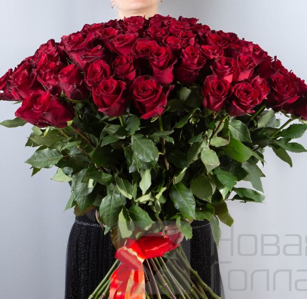 101 красная роза Премиум Эквадор 50 см