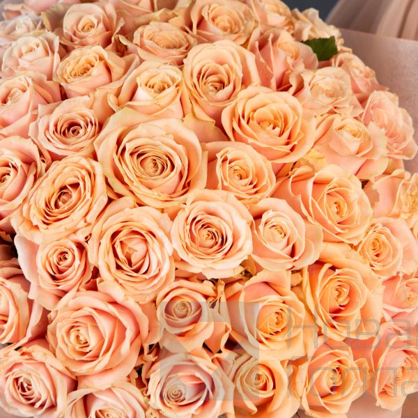 Букет 51 нюдовая роза 40см