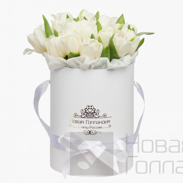 25 белых тюльпанов в белой маленькой шляпной коробке №520