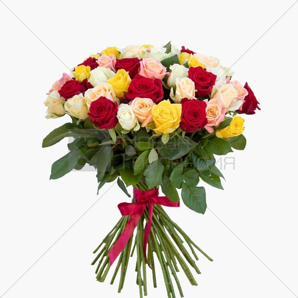 Микс из 51 розы 50 см. Акция Микс из 51 розы 50 см. Акция