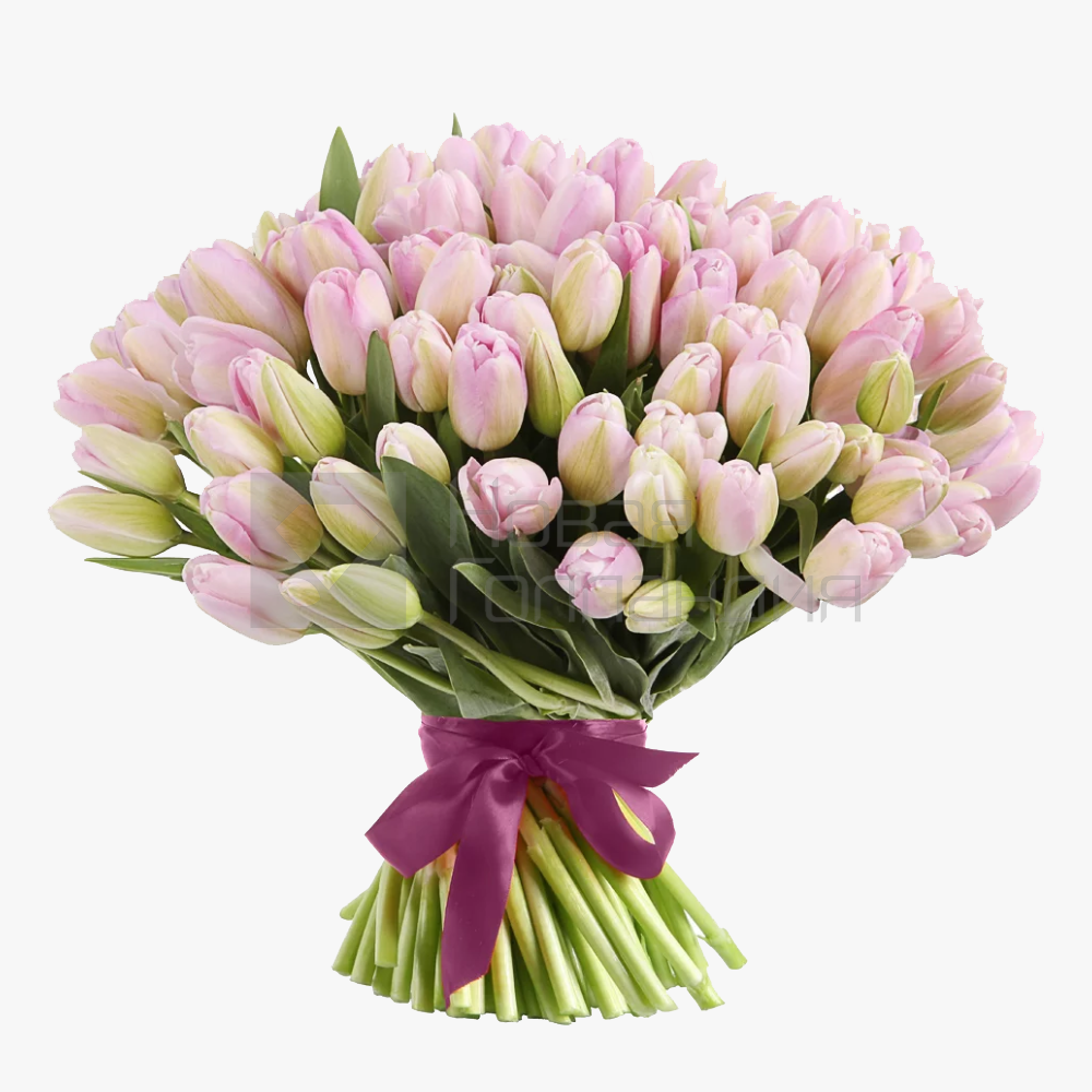 Идеи на тему «Тюльпаны» (+) | тюльпаны, цветы, красивые цветы