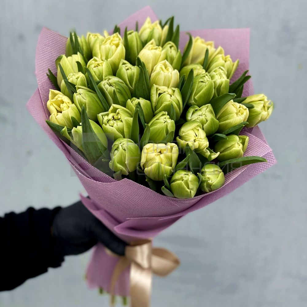 Букет 35 белых пионовидных тюльпанов