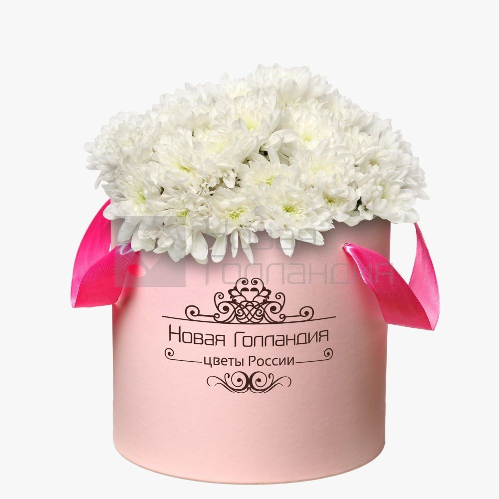 15 Белых хризантем в большой розовой коробке №257