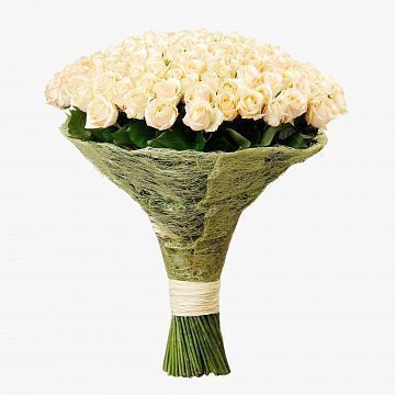 Букет 151 роза Шампань 60 см