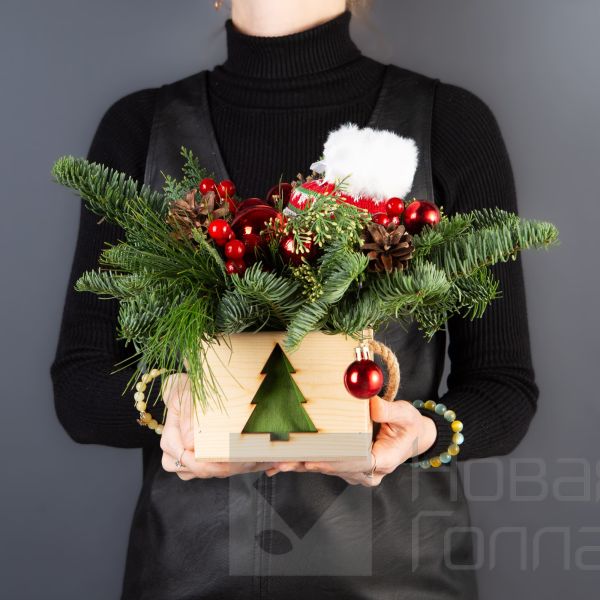 Композиция в кашпо елочка № 4