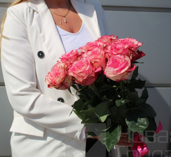 Букет 9 бело-розовых роз Эквадор