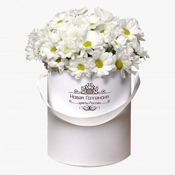 5 Белых Ромашковых хризантем в маленькой белой коробке №246