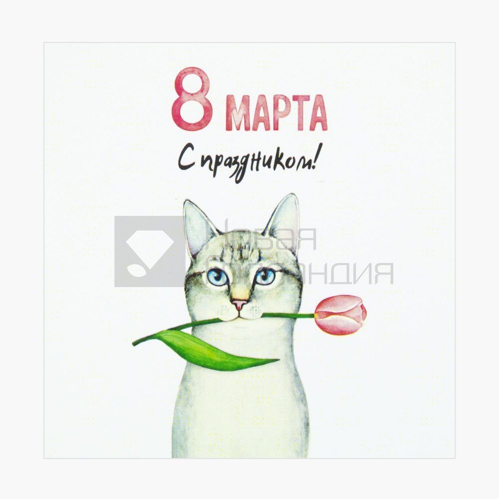 Открытка Бесконечные котята из «Дизайнерские открытки»
