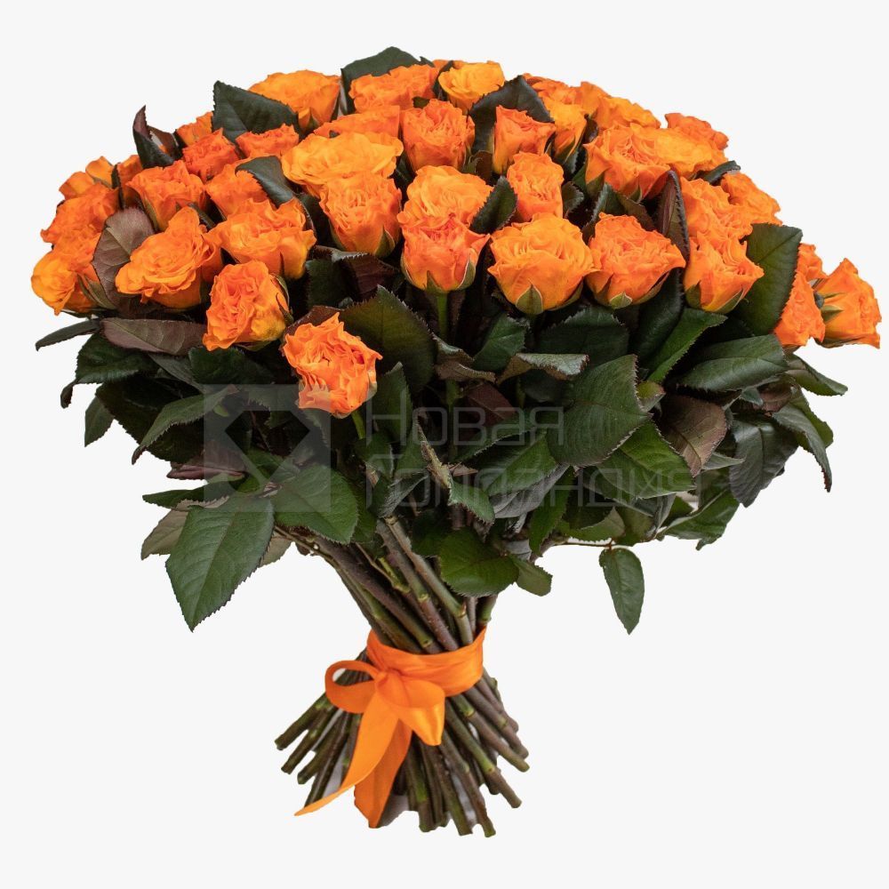 51 оранжевая роза 50см