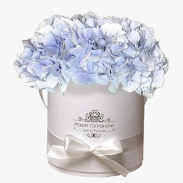 3 Голубые Гортензии в белой шляпной коробке