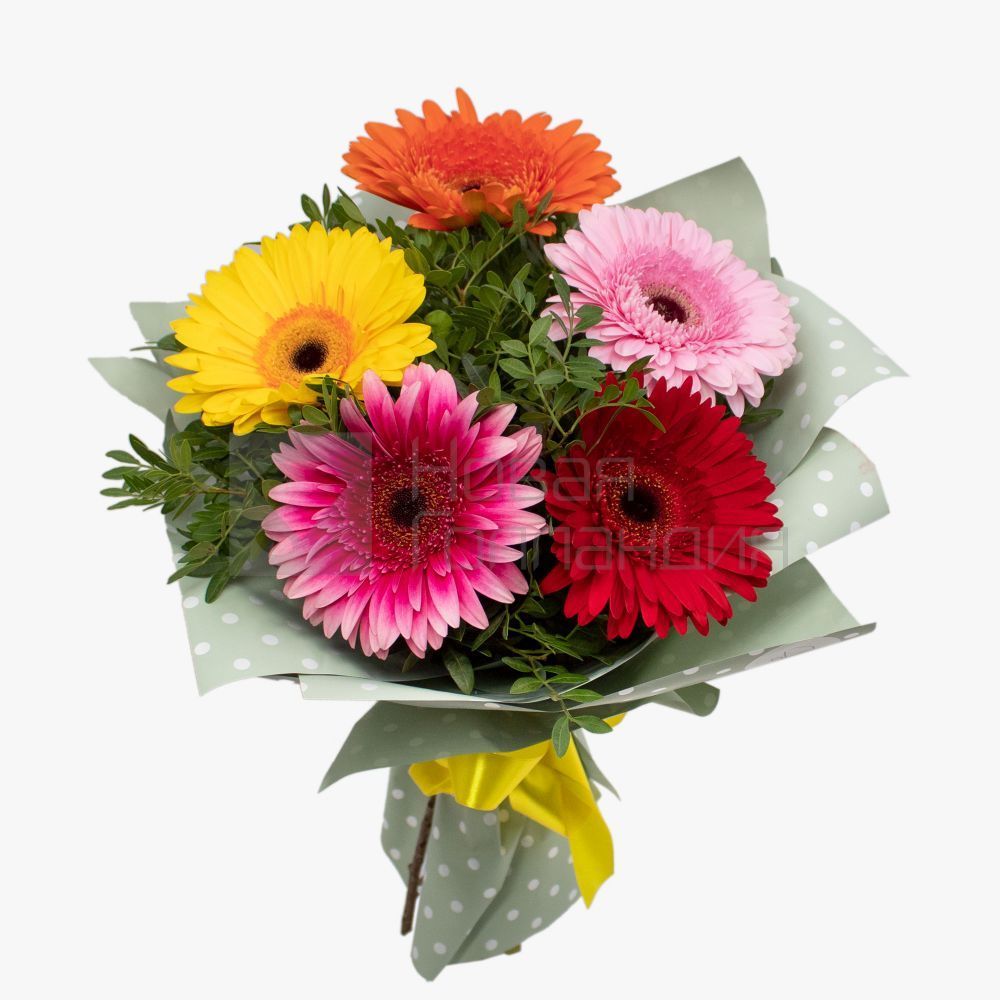 Букеты из гербер – самые яркие и позитивные цветы