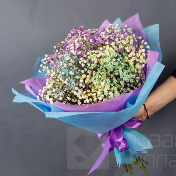 Букет из 5 радужных гипсофил