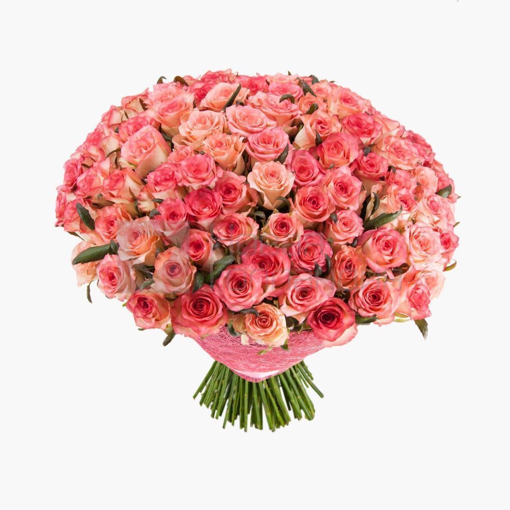 101 розовая роза Джумелия 70 см