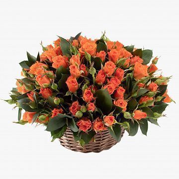 23 оранжевые кустовые розы в корзине 23 оранжевые кустовые розы в корзине