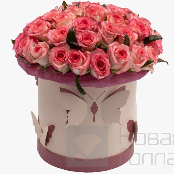 51 розовая роза в большой коробке с бабочками