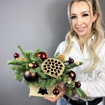 Территория волшебства в кашпо Территория волшебства в кашпо