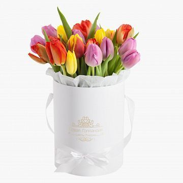 25 тюльпанов микс в белой маленькой шляпной коробке №550