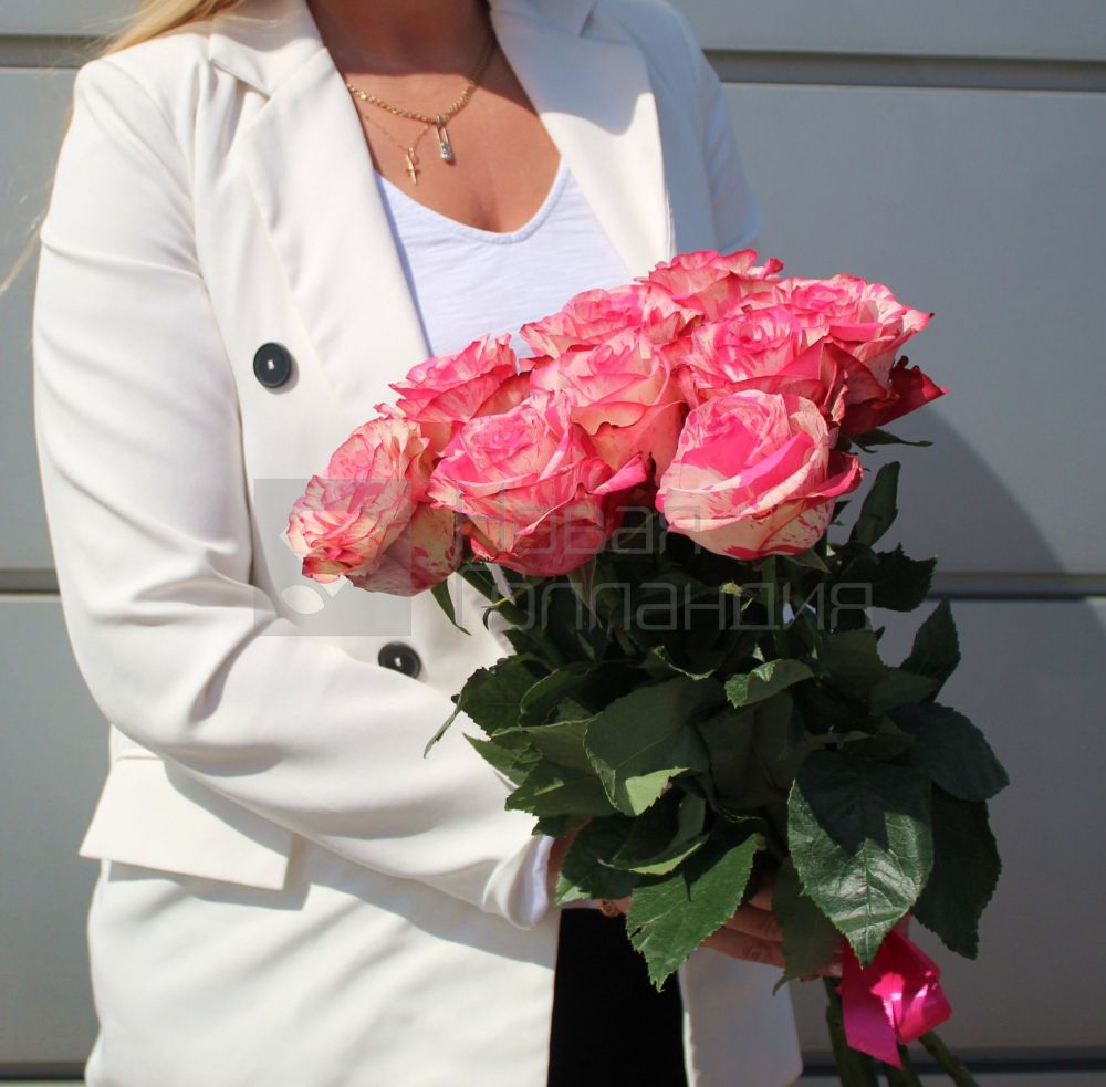 Букет 9 бело-розовых роз Эквадор