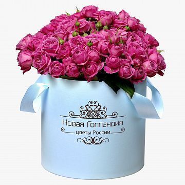 51 розовая кустовая пионовидная роза в большой голубой шляпной коробке №319 51 розовая кустовая пионовидная роза в большой голубой шляпной коробке №319
