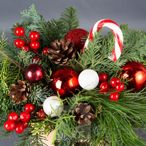 Композиция в кашпо елочка № 3