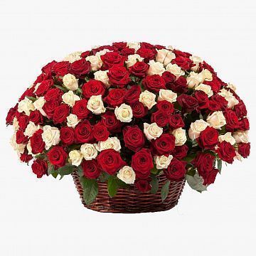 Композиция 301 красная и белая роза в корзине Композиция 301 красная и белая роза в корзине