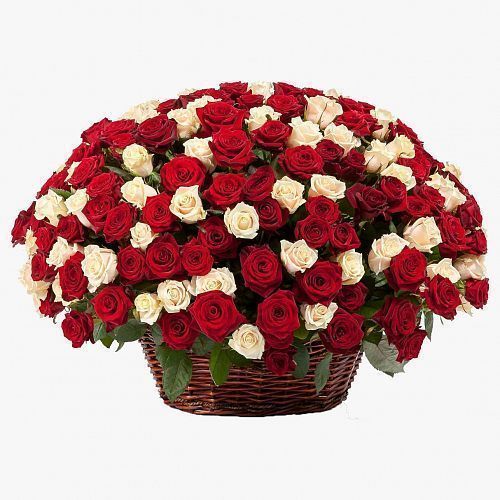 Композиция 301 красная и белая роза в корзине