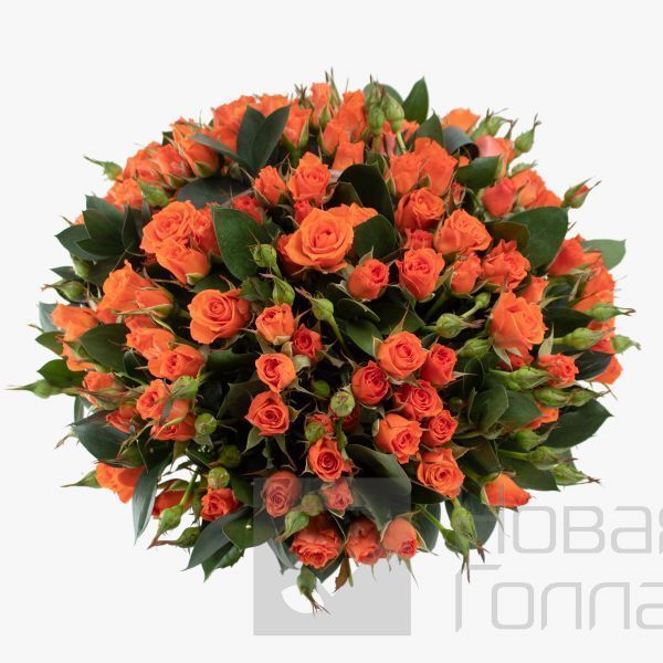 23 оранжевые кустовые розы в корзине
