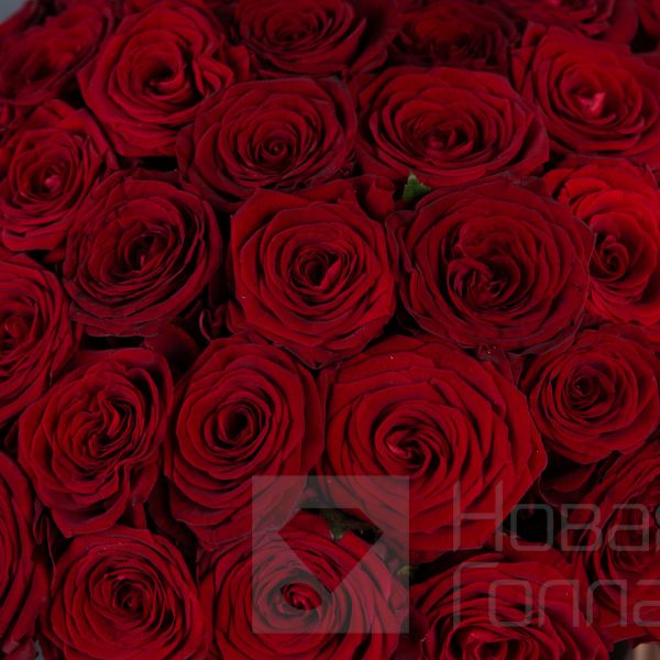 51 Красная роза в большой черной шляпной коробке №212