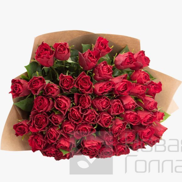 51 красная роза 40 см Кения
