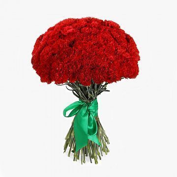 Букет гвоздик на 9 мая Букет гвоздик на 9 мая